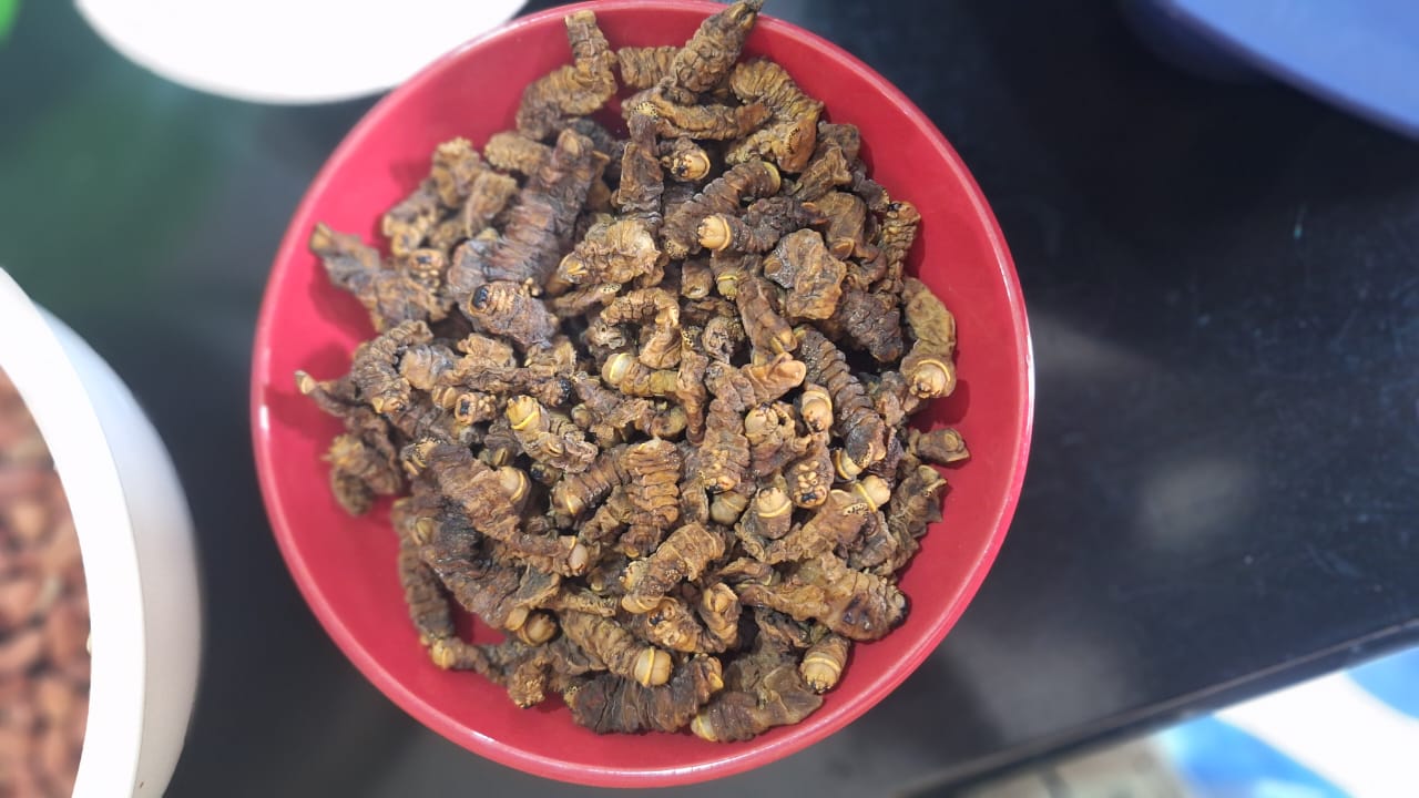 Close-up of ifinkubala (dried caterpillars) in a red bowl