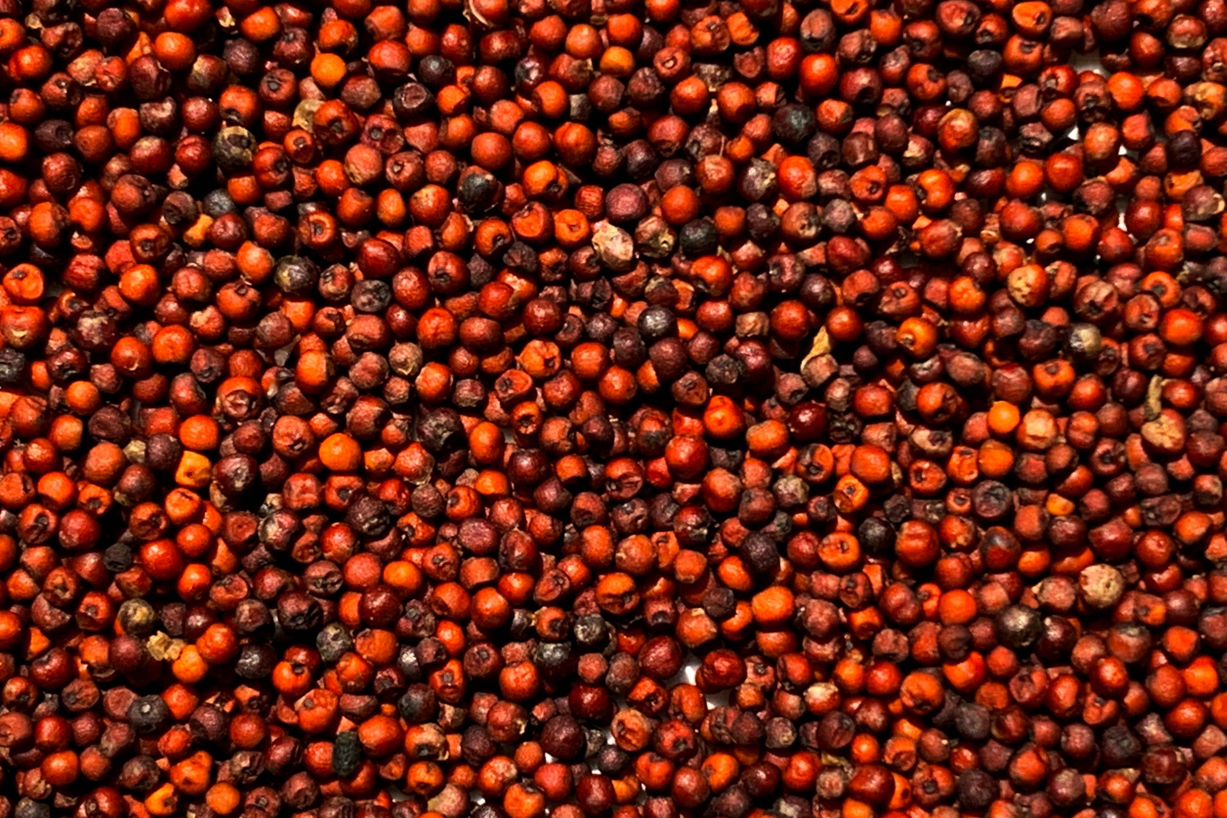Millet grains